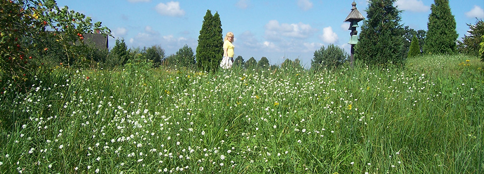 Sommer, Sonne, Sonnenschein... so sollte es immer sein. Sommer, Sonne, Sonnenschein... so sollte es immer sein.